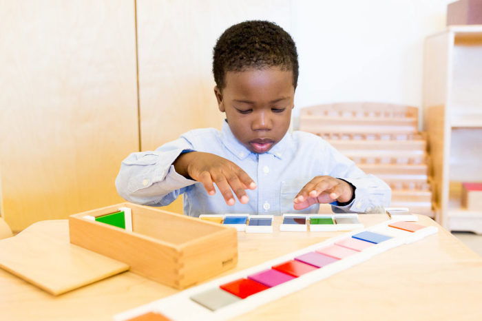 Credential Recognition for Montessori Training